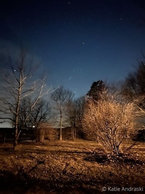 Night sky with stars above a quiet, rural landscape with bare trees and an old wooden structure.