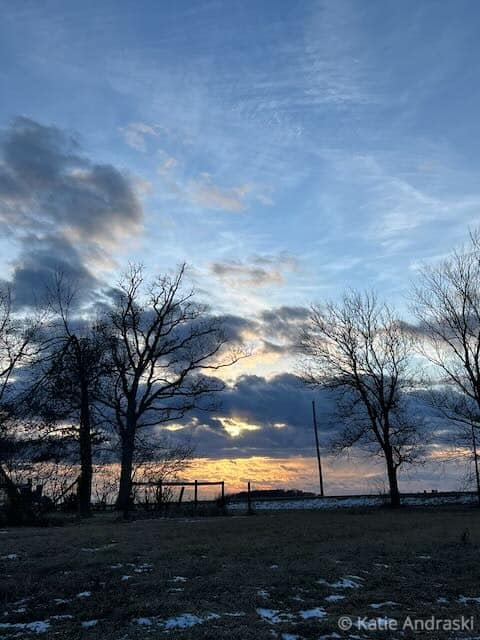 Sunset with silhouetted trees under a cloudy sky.