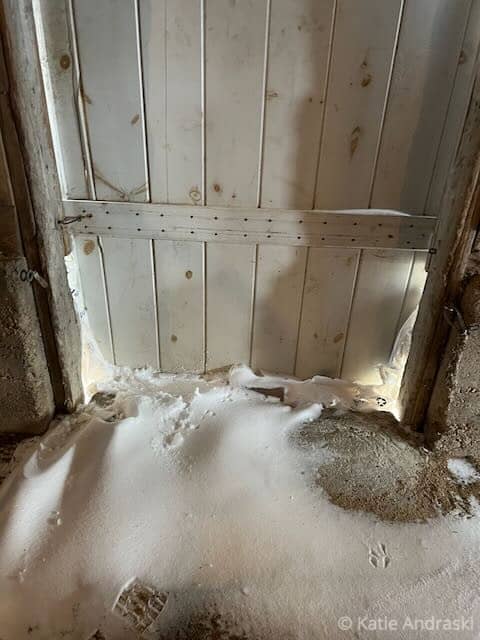 Snow piled against an old wooden door inside a rustic building.