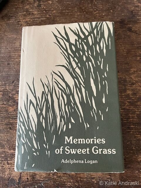 A book titled 'Memories' with a minimalist plant design on the cover.