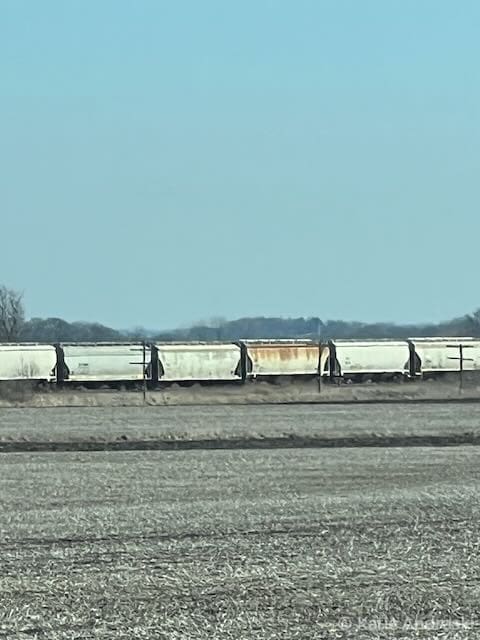 A train of white hopper cars travels through a rural landscape under a clear blue sky.