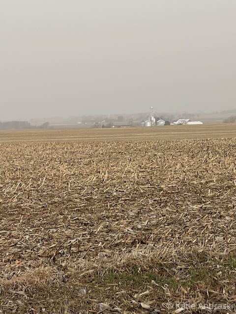 Dry, barren field under a hazy sky with distant buildings.