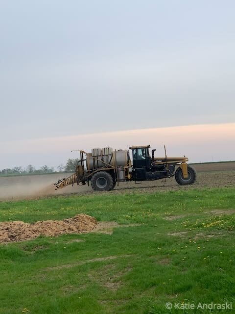 A tractor spraying crops in a field at sunset.