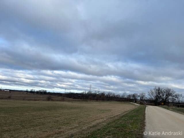 A cloudy sky over a flat, open field with bare trees in the distance.