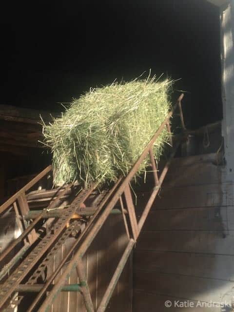 A hay bale on a wooden ramp in a barn at night.