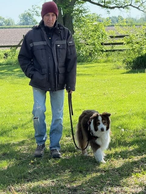 Person standing on grass with a black and white dog.
