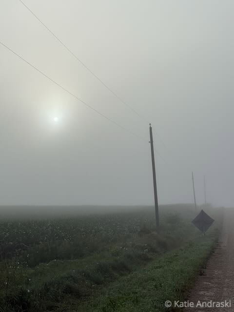 Foggy landscape with a barely visible sun and a tall pole.
