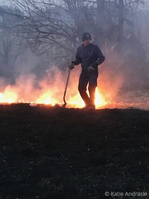 A person walking through a smoky wildfire with a stick.